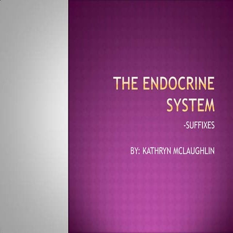 The Endocrine System Ch 11 Presentation