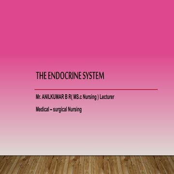 The endocrine system