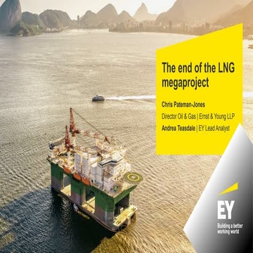The end of the LNG megaproject