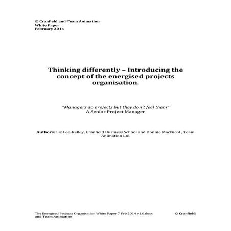 Thinking differently – Introducing the concept of the energised projects orga...