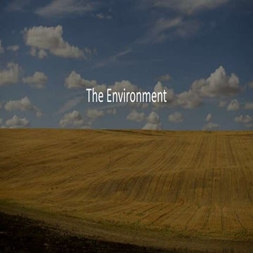 The Environment 1 Pptx
