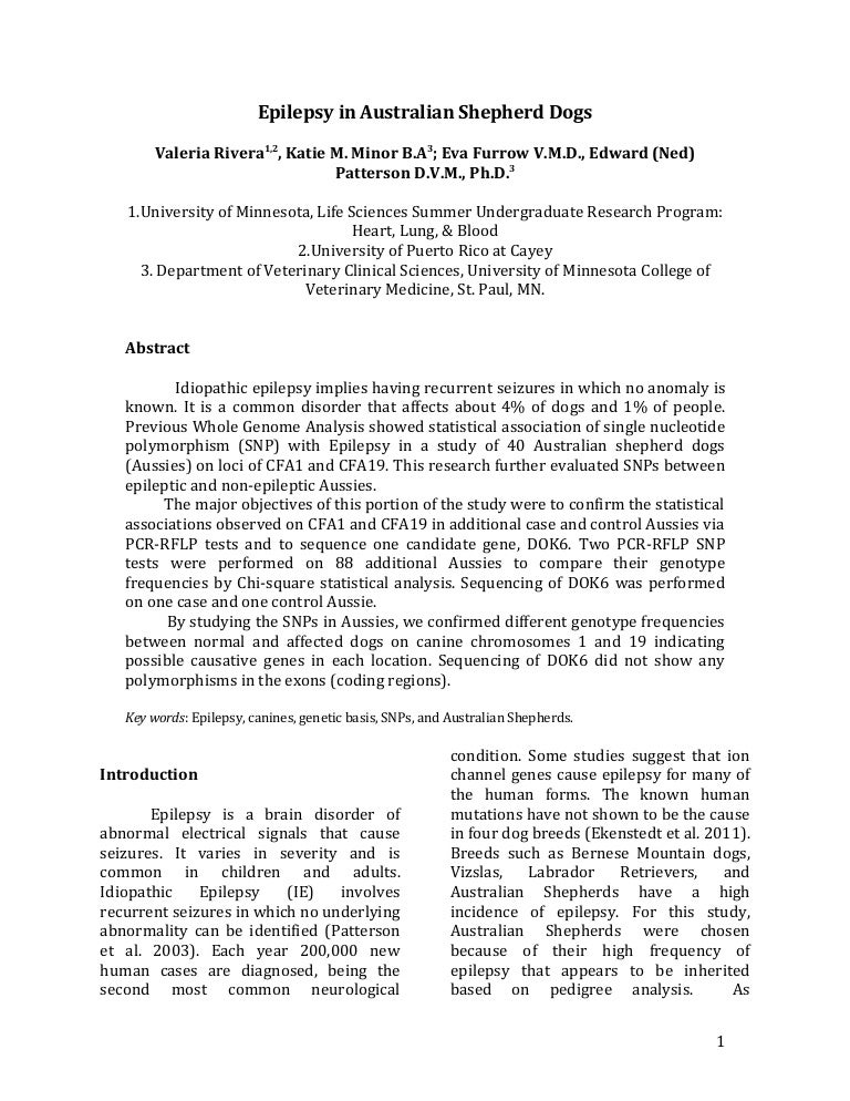 Epilepsy essays picture