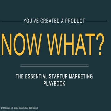 The Essential Startup Marketing Playbook by Steve Mann