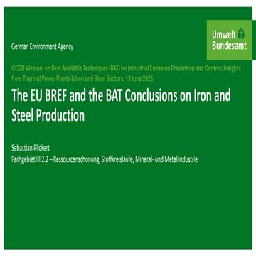 The EU BREF and the BAT Conclusions on Iron and Steel Production: Sebastian P...