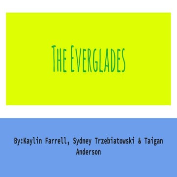 The Everglades of Florida