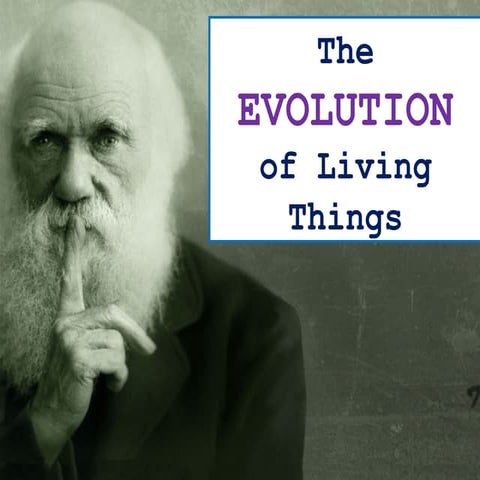 The Evolution of Living Things