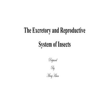 The Excretory and Reproductive System of Insects.pdf
