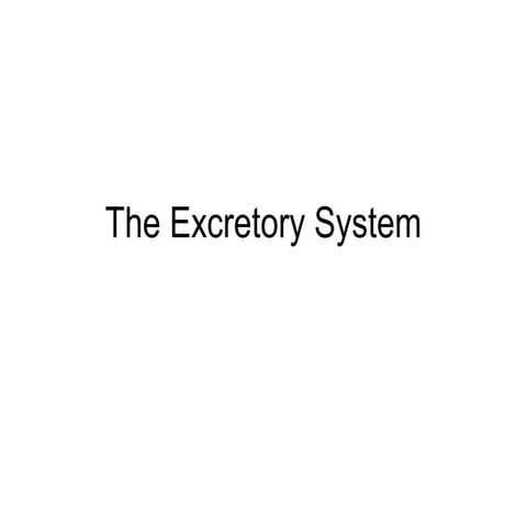 The excretory system