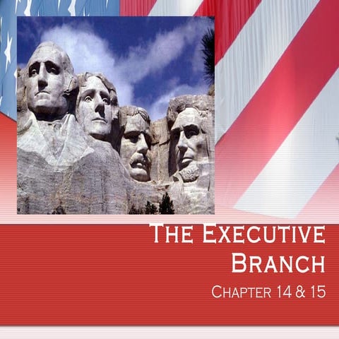 The Executive Branch
