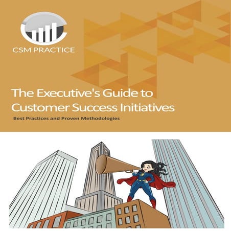 The executive guide to launching new customer success initiatives