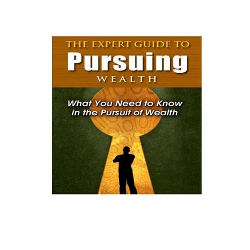The expert guide_to_pursuing_wealth