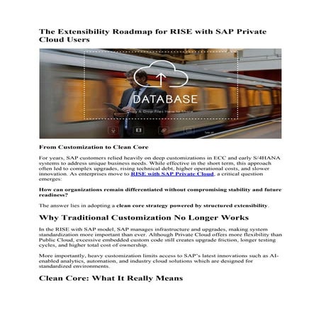 The Extensibility Roadmap for RISE with SAP Private Cloud Users.pdf