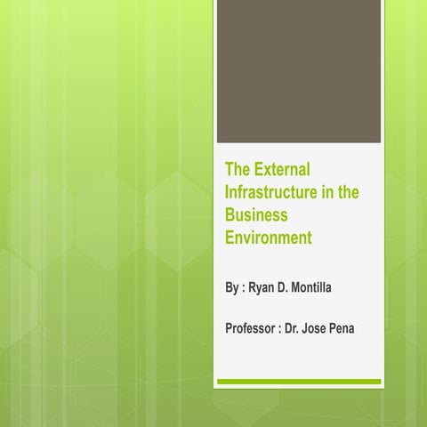 The external infrastructure in the business environment