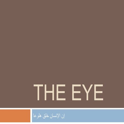 The eye | PPTX