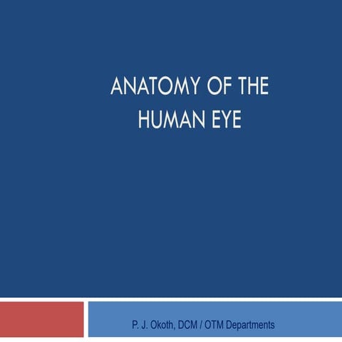THE  COMPREHENSIVE ANATOMY OF THE EYE FOR MEDICAL STUDENTS