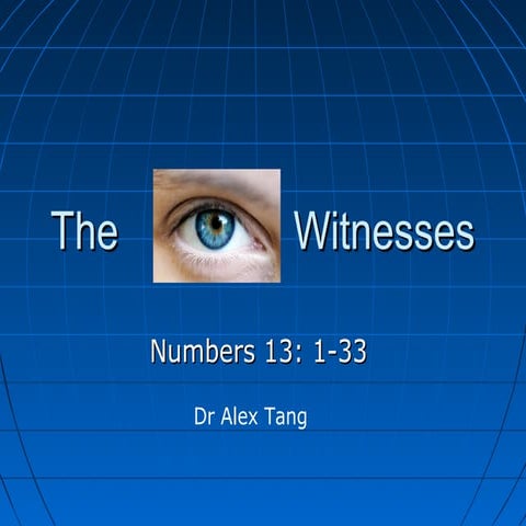 The Eye Witnesses