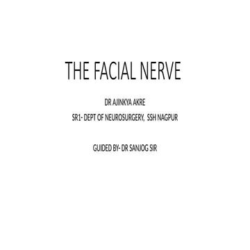 Anatomy and Clinical Examination of the Facial Nerve | PPTX