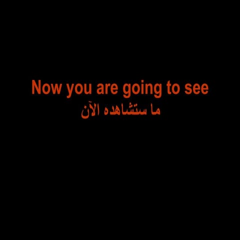 The facts of  isreali terror