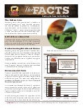 The Facts; Busting the Grass-fed Beef Myths
