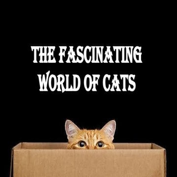 Cats' Fascinating Behaviors | PDF