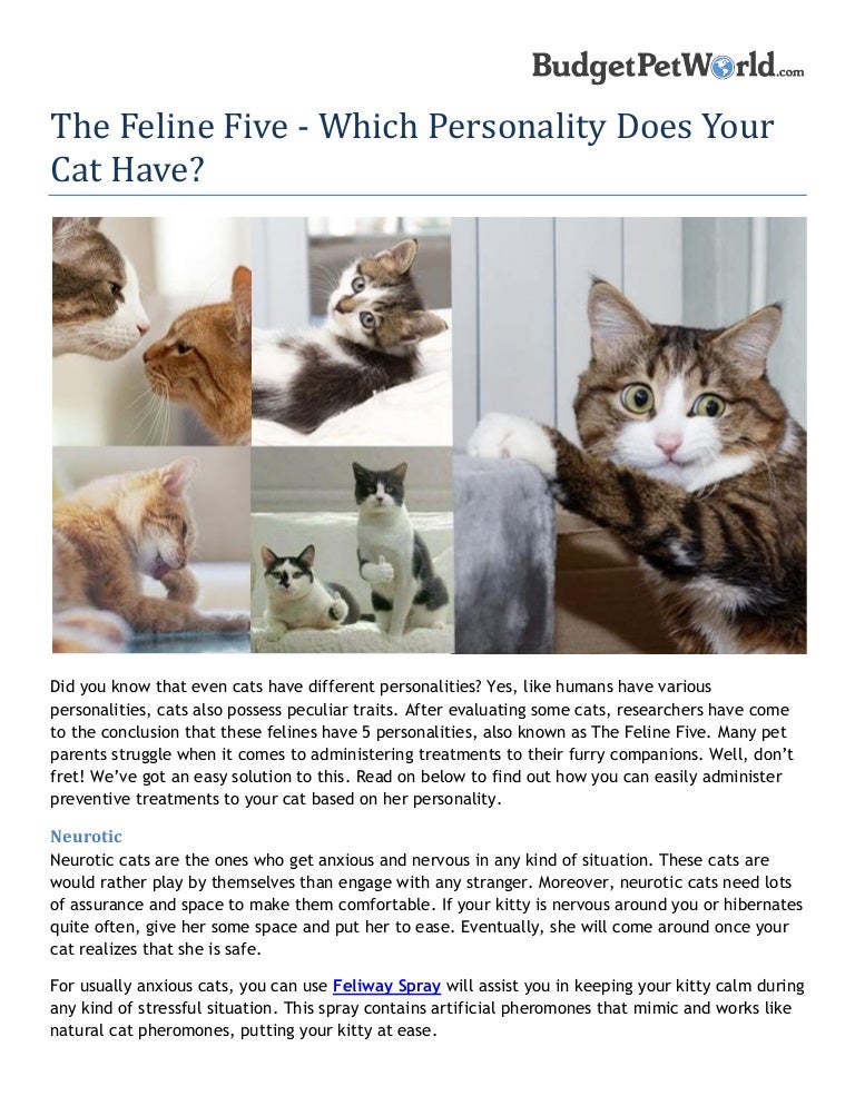 natural cat pheromones