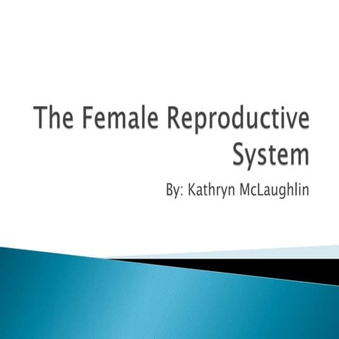 The Female Reproductive System