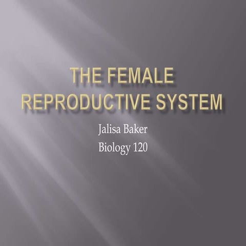 The female reproductive system