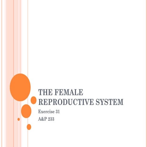 The female reproductive system