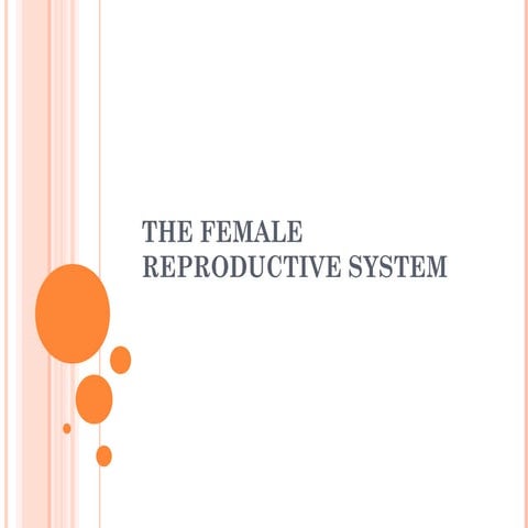 The female Reproductive System