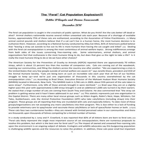 The Feral Cat Population Explosion - December 2010