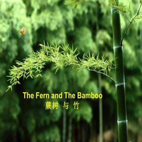 The Fern And The Bamboo蕨与竹