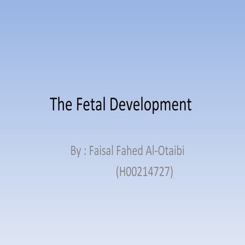 The fetal development 
