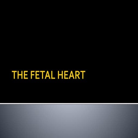 The fetal heart