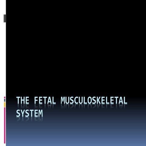 The fetal musculoskeletal system