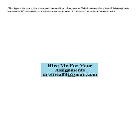 The figure shows a chromosomal separation taking place What.pdf