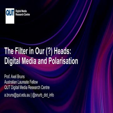 The Filter in Our (?) Heads: Digital Media and Polarisation