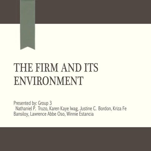 The firm and its environment