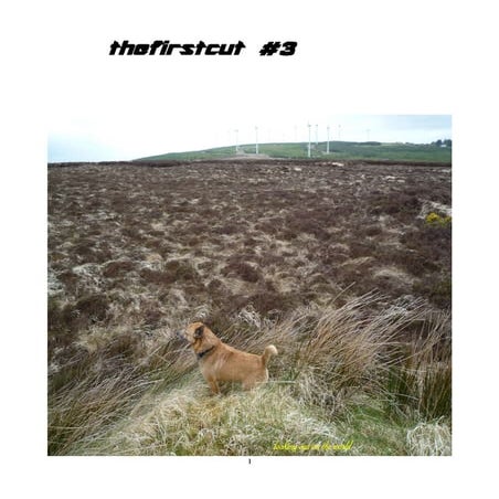 Thefirstcut #3