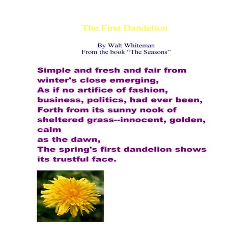 The first dandelion