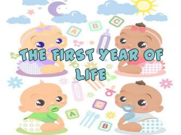The first year of life