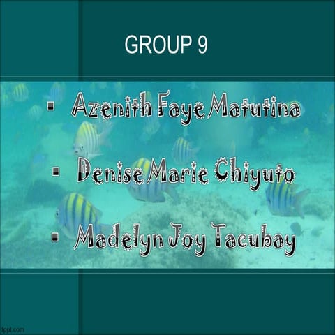 Fishes Zoology Report