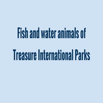 The fish water animals of treasure international park   