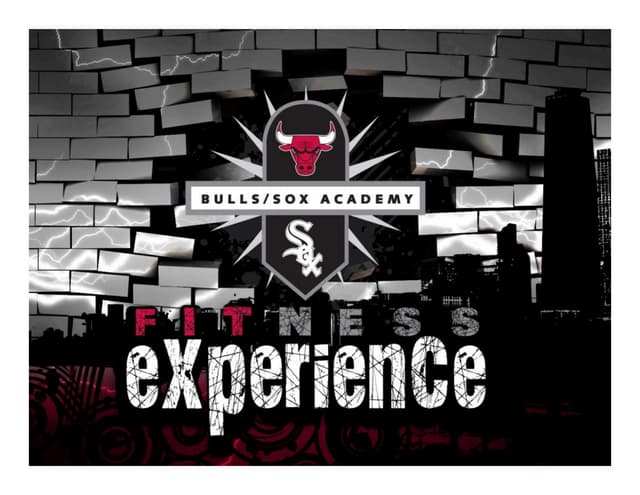 The fitness experience