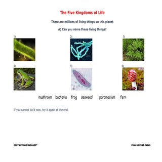 The five kingdoms of life 5