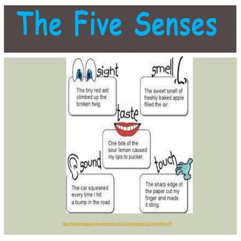 Imagery in Little Red Riding Hood