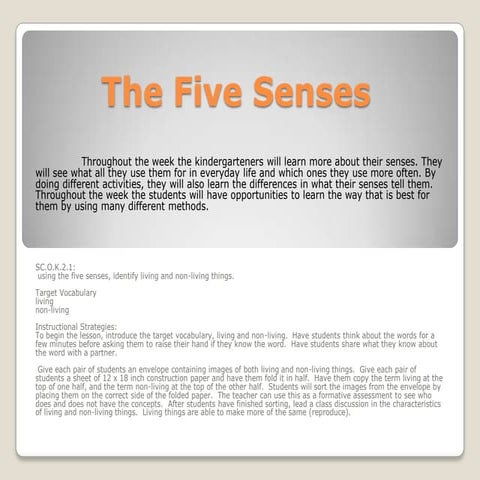 The five senses final project