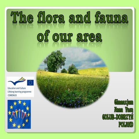 The Flora And Fauna Of Our Area