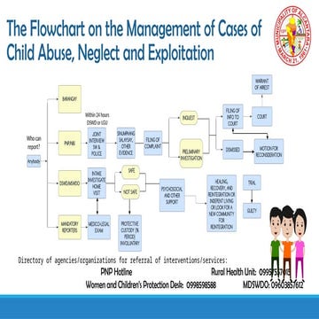 Comprehensive Flowcharts for Managing Child Abuse, Neglect ...