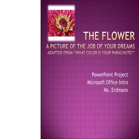 The Flower Career Project