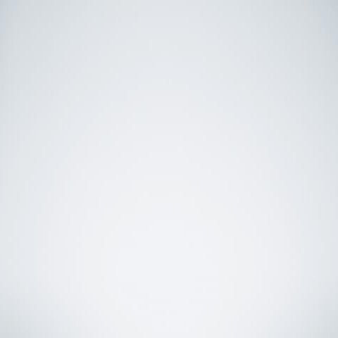 The fly Katherine Mansfield